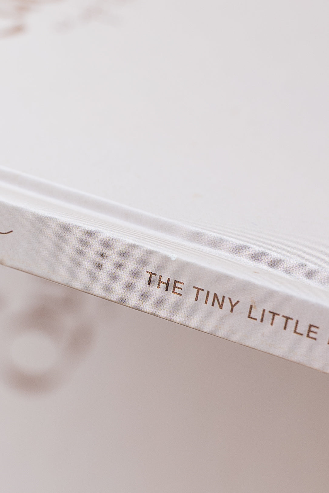 SECONDS SALE - MINOR DEFECTS: Fifty Questions Keepsake Book